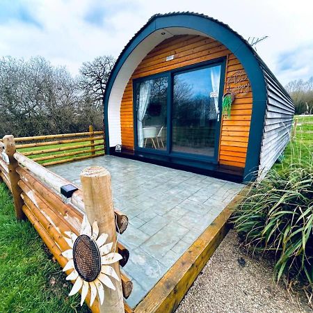 Beech Pod Cabin In Beautiful Surroundings Wrexham Esterno foto