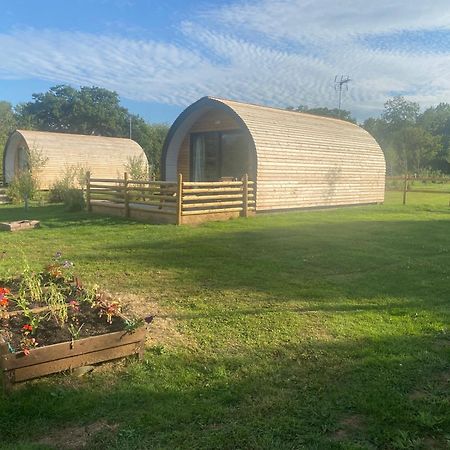 Beech Pod Cabin In Beautiful Surroundings Wrexham Esterno foto